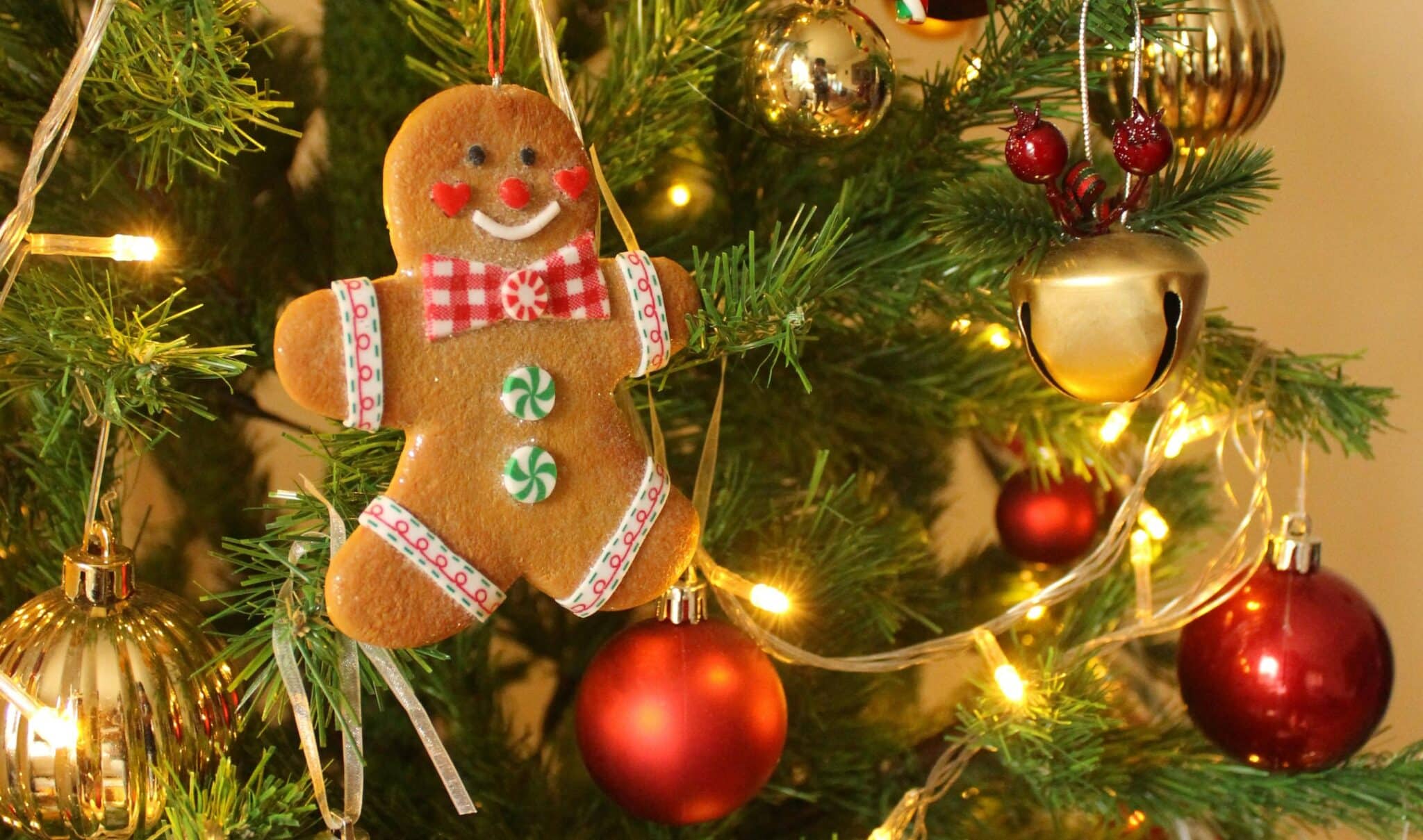 Piparkakku roikkuu joulukuusen oksasta.