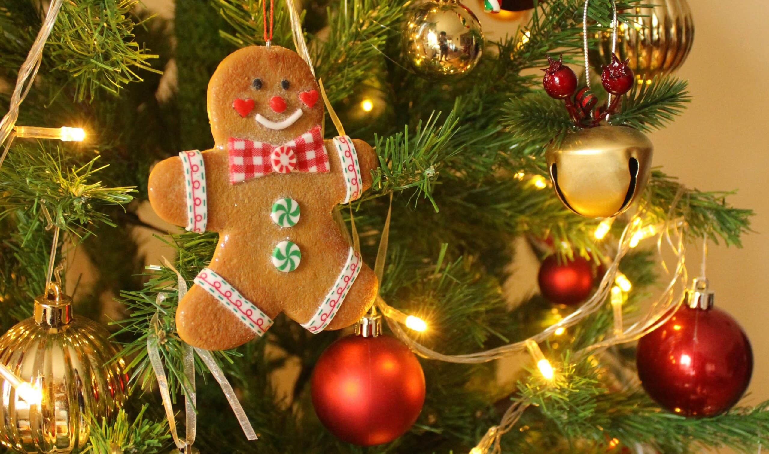 Piparkakku roikkuu joulukuusen oksasta.